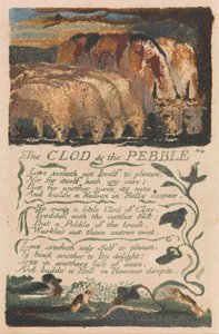 Songs of Innocence and of Experience, Plate 36, The Clod and the Pebble (Bentley 32) by William Blake